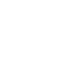 SD Thai Food